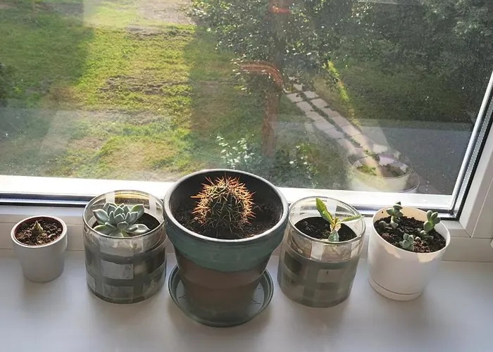 Sea Breeze Sillamäe